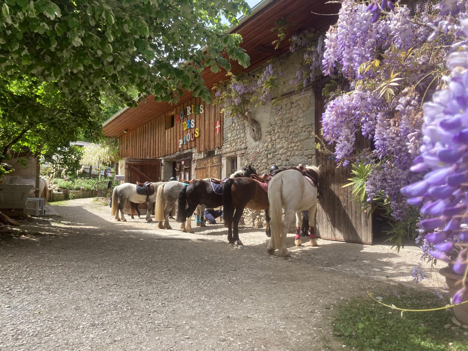 Écuries des Pious — Bloye, Haute-Savoie