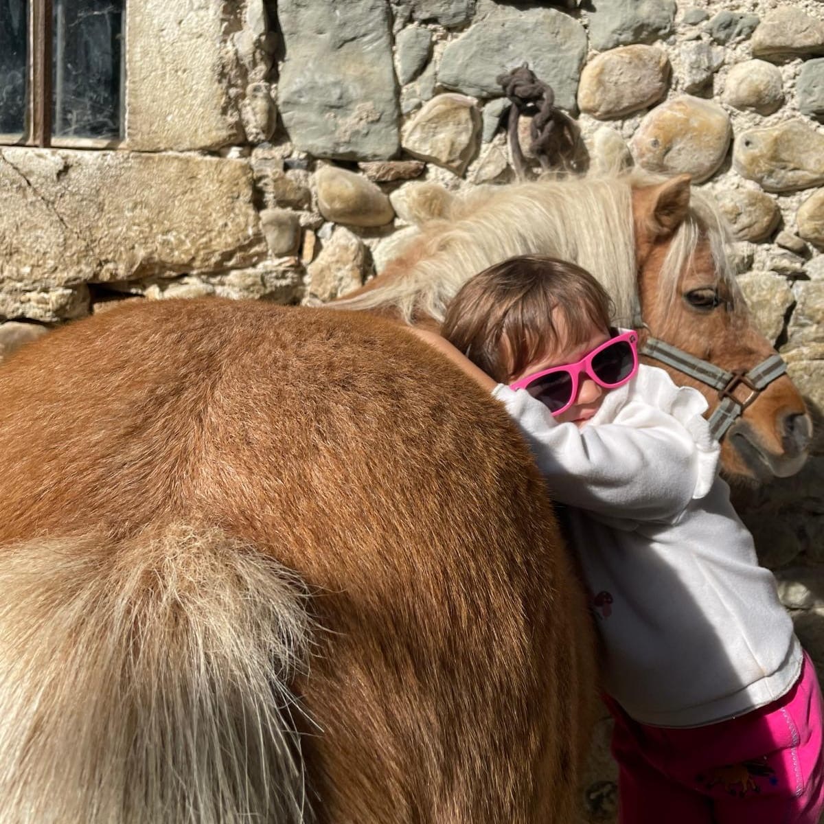 Câlin entre une enfant et son poney — Écuries des Pious