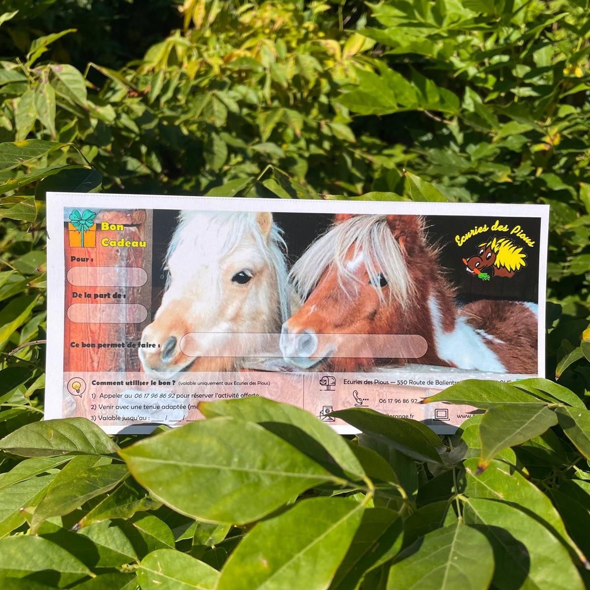 Edition de bons cadeaux pour offrir une activité poneys